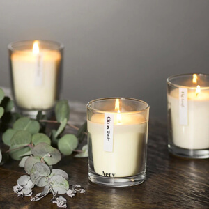 Aery Living Botanical Gift Set of Three Votive Candles